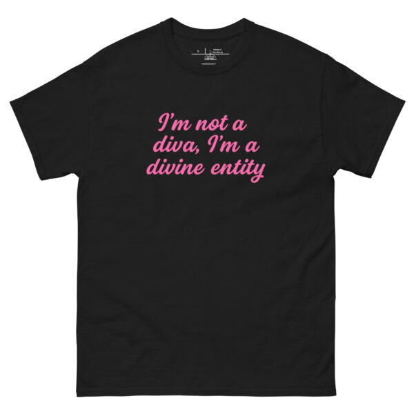 I’m Not A Diva, I’m A Divine Entity T-Shirt